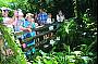 Australian Butterfly Sanctuary