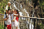 View from Barron Falls Station lookout